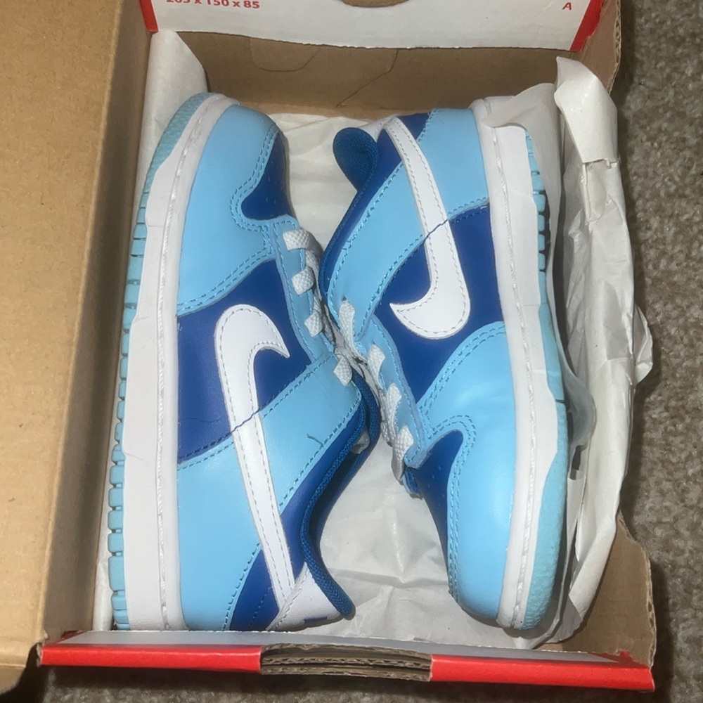 Nike Blue and White dunks